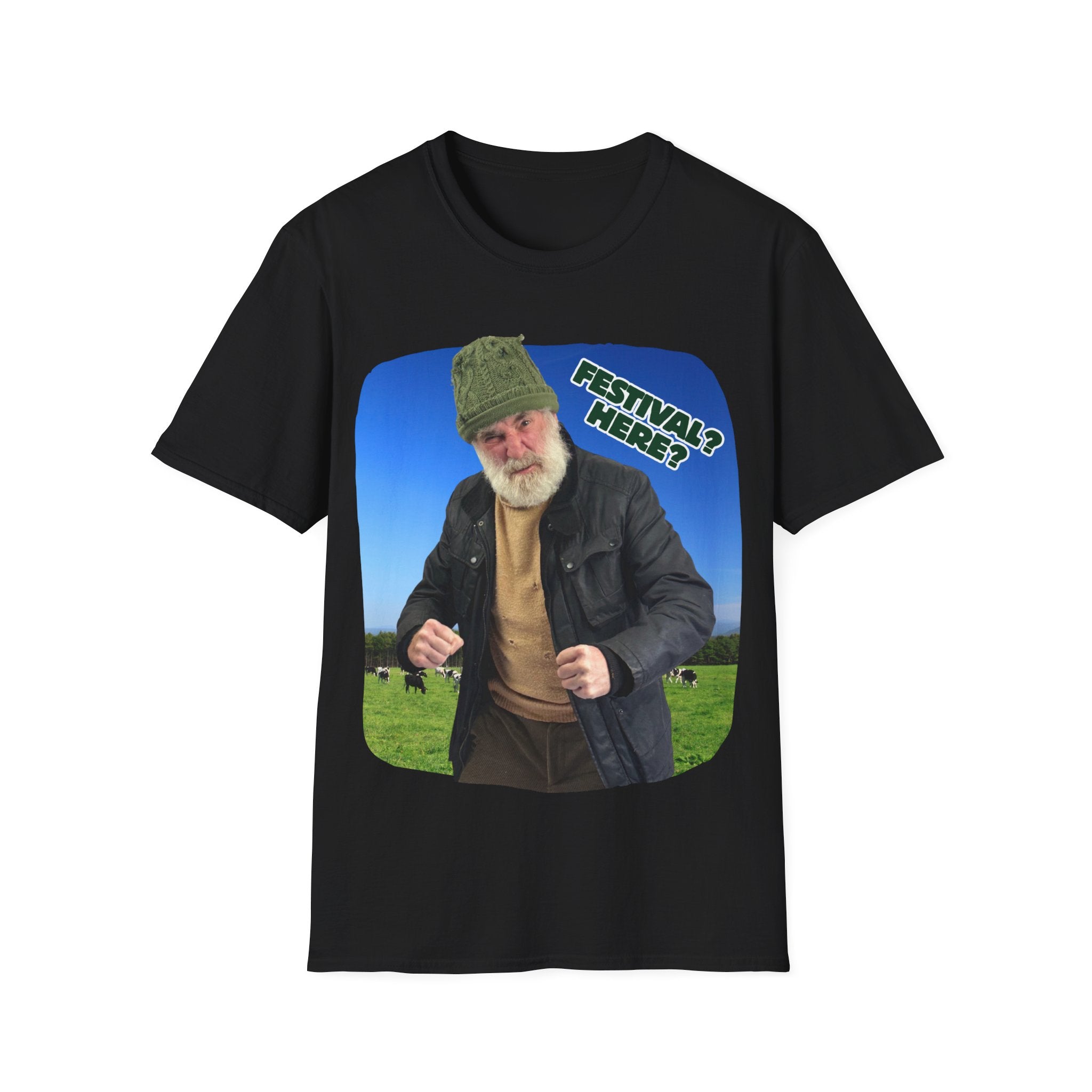 Festival? Here? T-Shirt